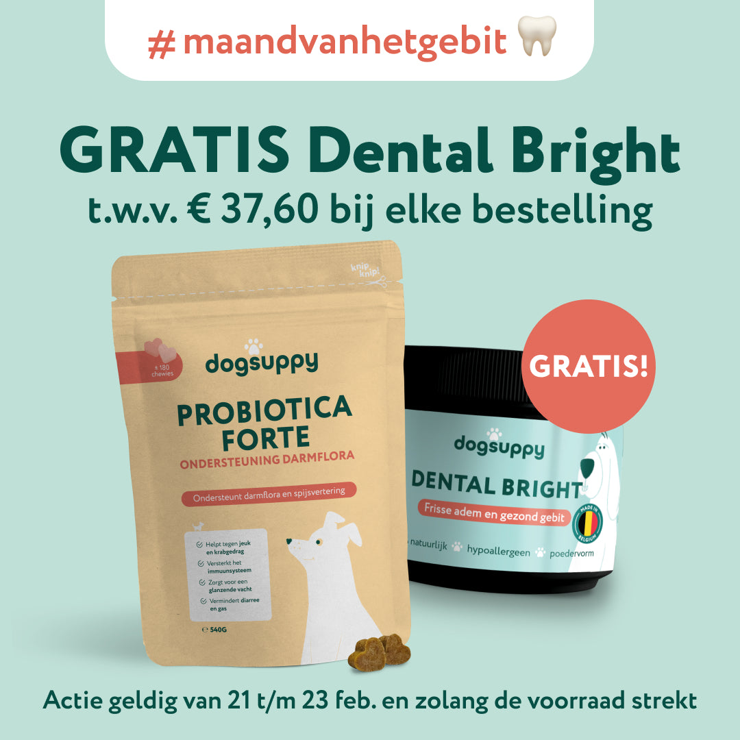 Maxi Pack Probiotica Forte in een handige zak Darmflora en  