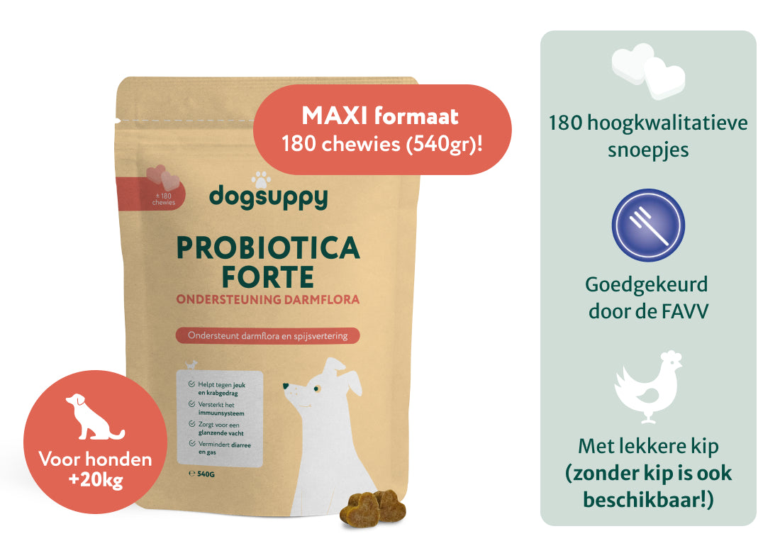 Grote rassen: Probiotica Forte met kip | Ondersteunt darmflora en spijsvertering | 180 snoepjes maxi-pack