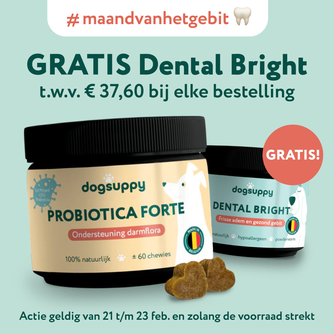 Probiotica voor voor honden voor gezonde darmflora Probiotica Forte 