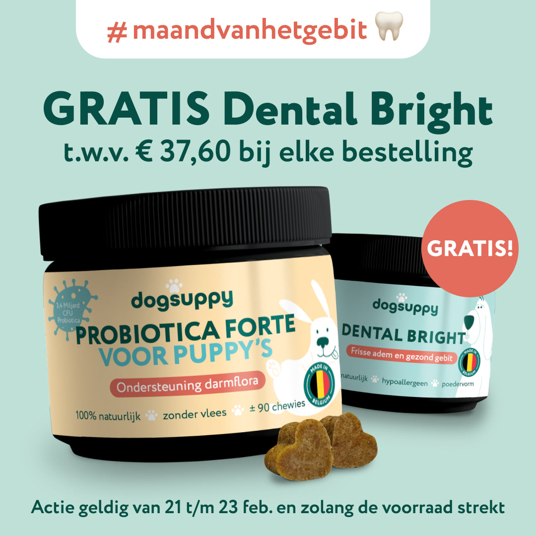 Puppy Probiotica Forte zonder kip voor puppy honden Betere  