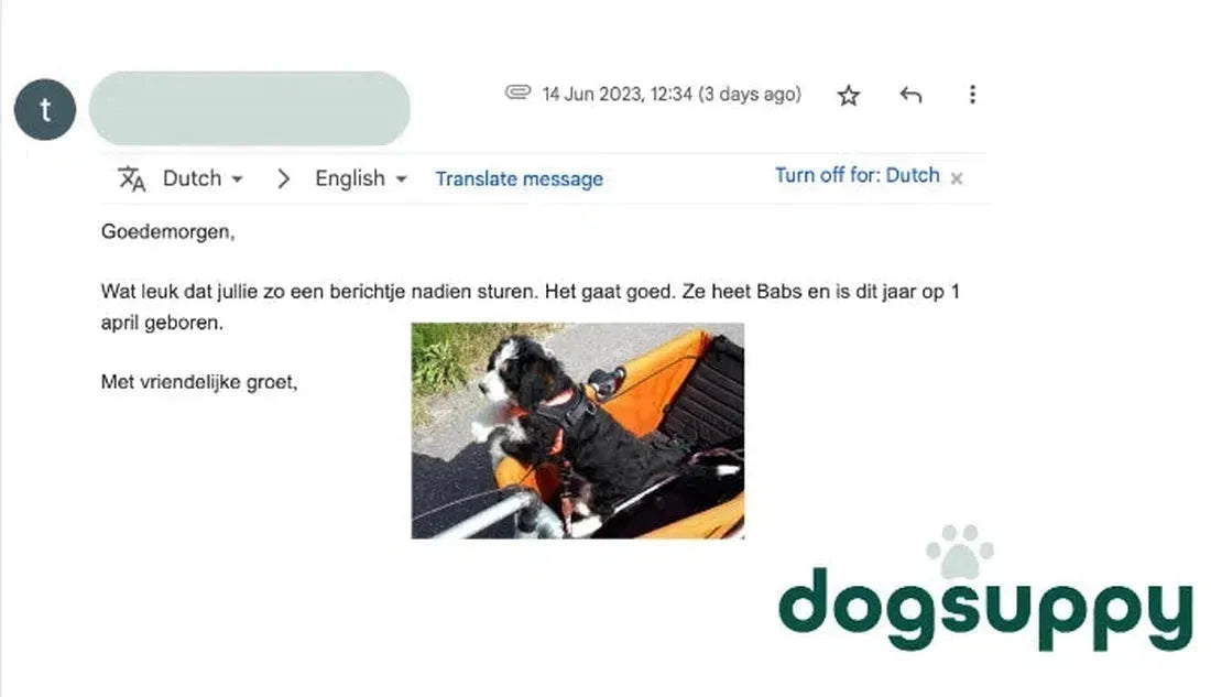 Alles gaat goed met hond Babs