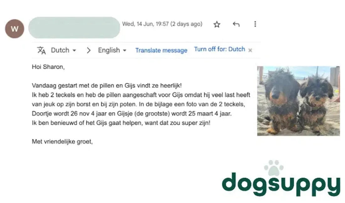 Dachsund Gijs en Doortje zijn er dol op