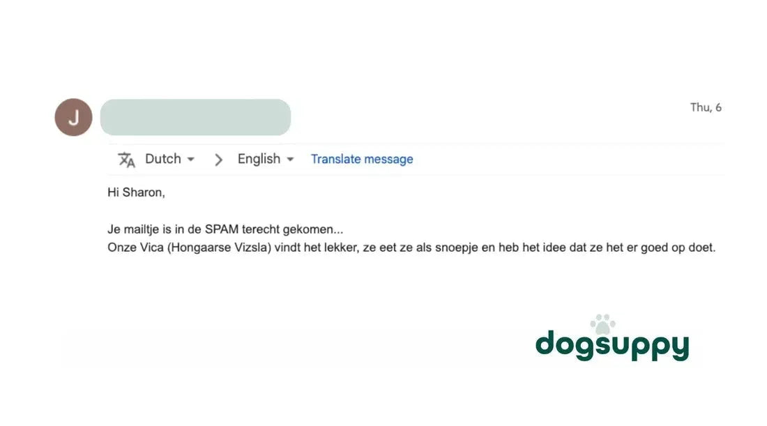 De Hongaarse Vizsla Vica is dol op snoepjes