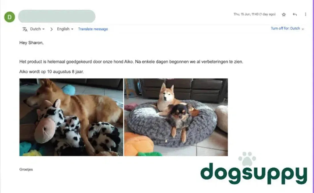Hond Aiko is het er helemaal mee eens
