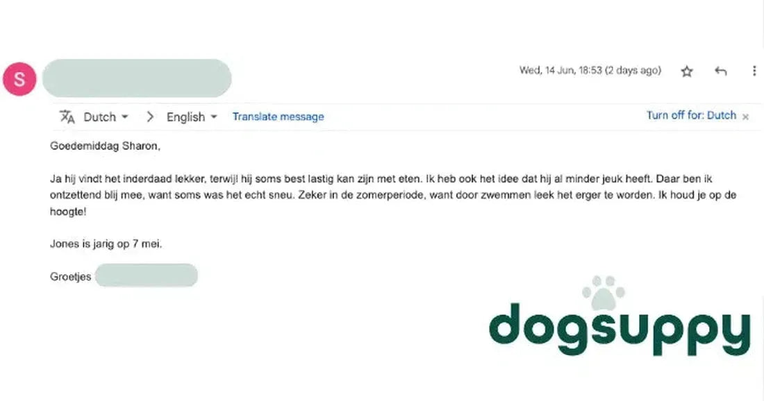 In de hoop dat Dog Jones van zijn zomer kan genieten met minder jeuk
