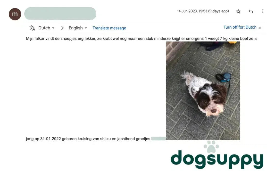 Kruising van Shitzu en jachthond Falkor houdt van snoepjes en krabt veel minder