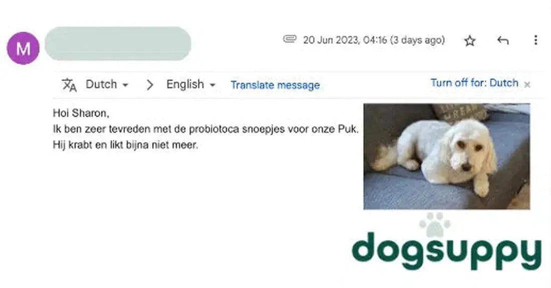 Minder likken en krabben bij hond Puk