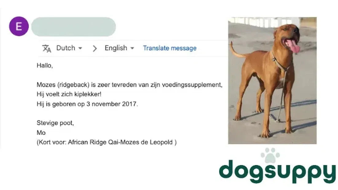 Ridgeback Mozes is zeer tevreden