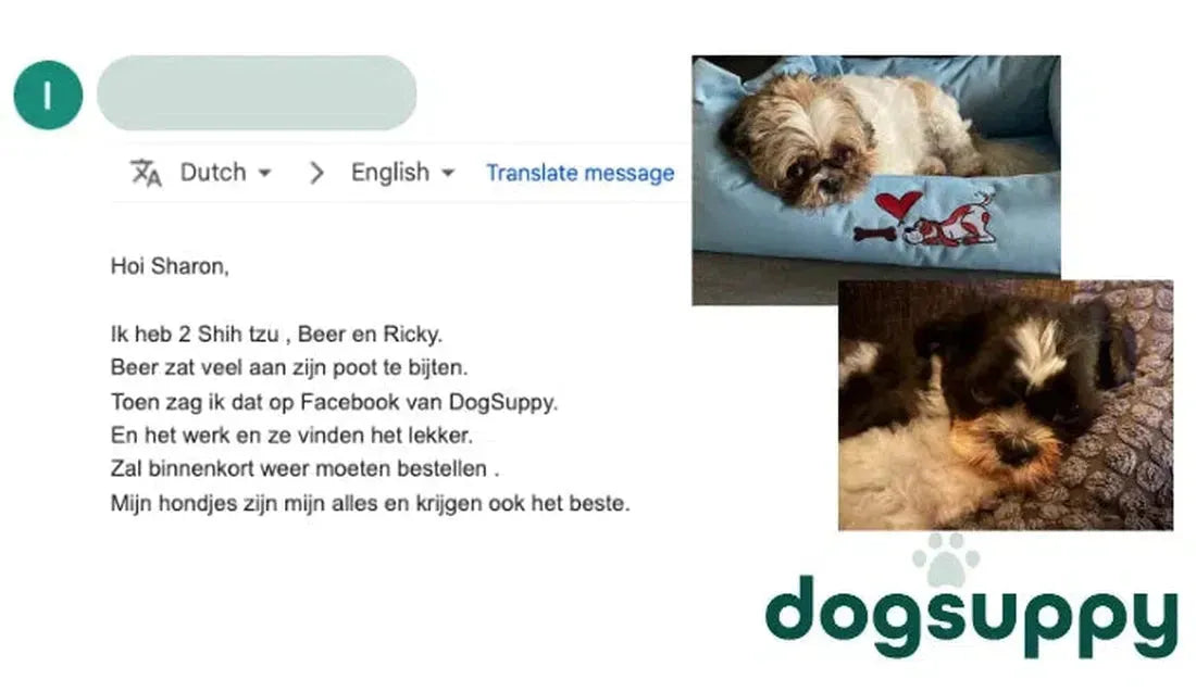 Shih-tzu Bear & Ricky: minder pootbijten