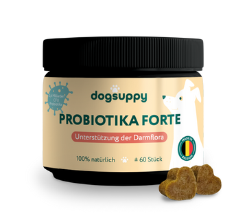 Probiotika Forte ohne Fleisch | 60 Stück