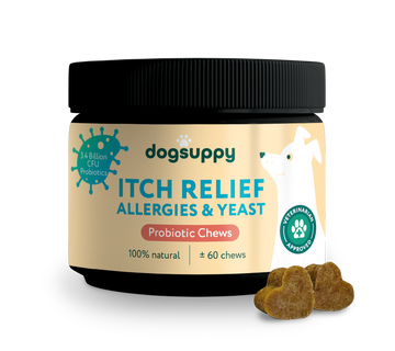 Itch Relief Probiotics Forte | 100% Natural | 60 Chews