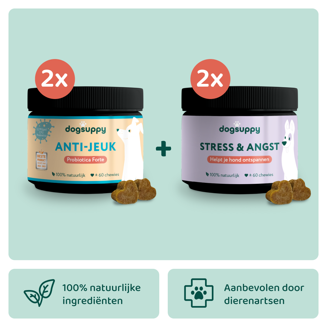 [BUN] Jeuk & Stress
