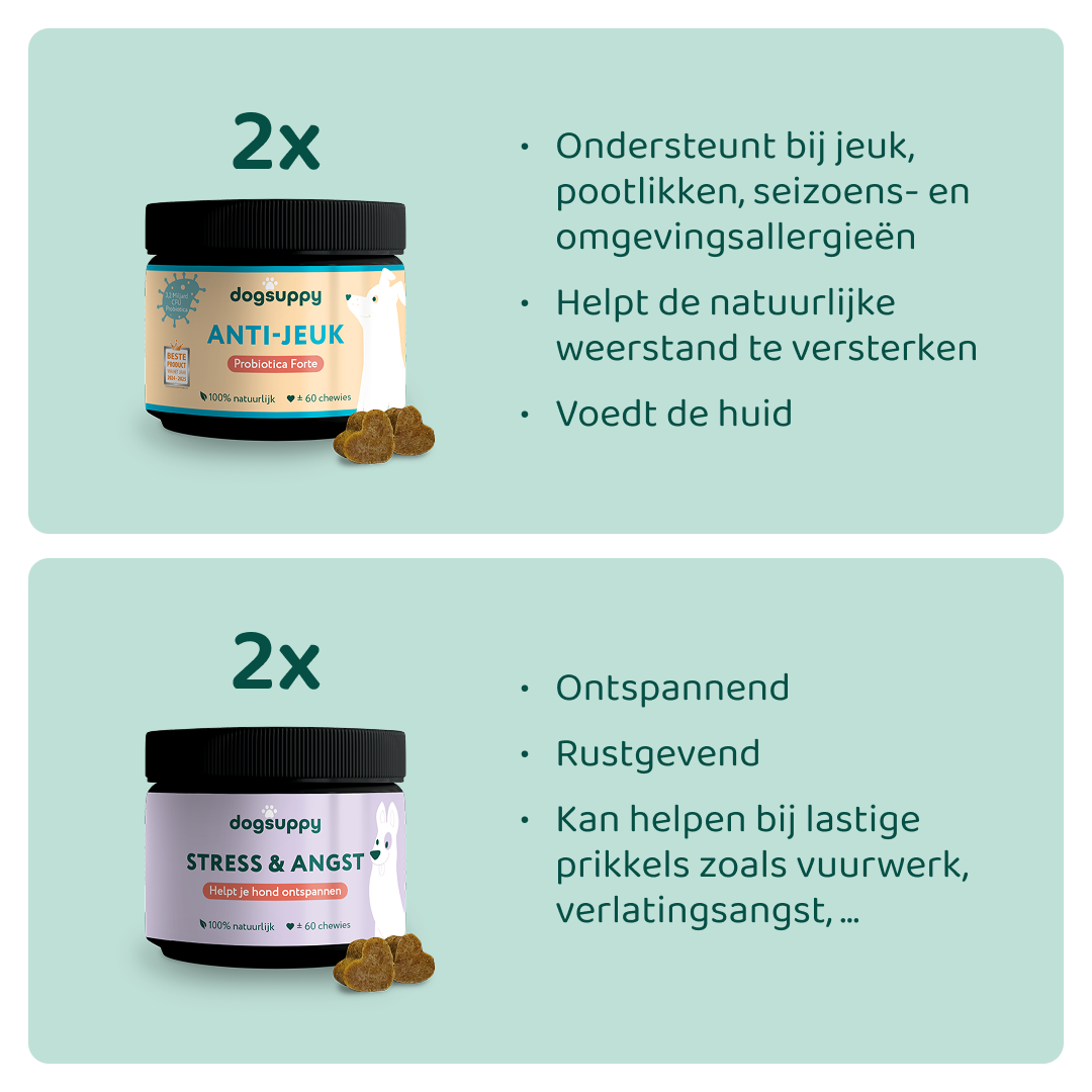 [BUN] Jeuk & Stress