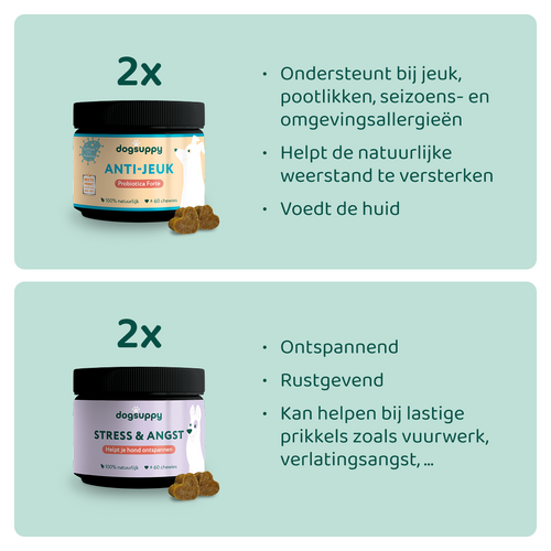 [BUN] Jeuk & Stress