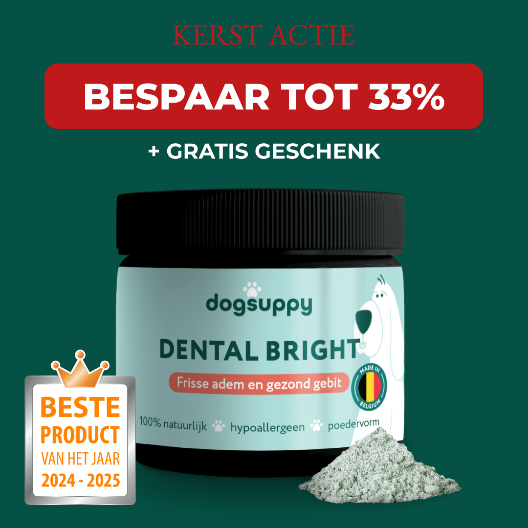 Kerst actie | Dental Bright | Frisse adem & gezond gebit | 100% natuurlijk | 90 gram