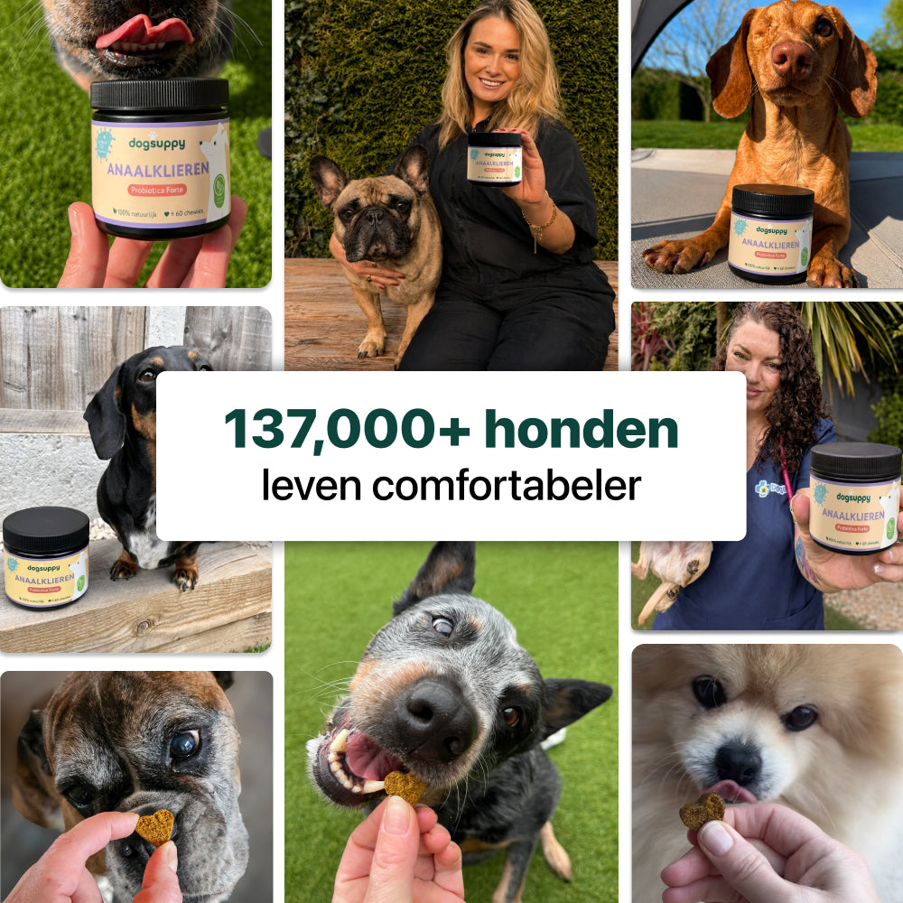 Anaalklieren Probiotica Forte | 100% natuurlijk
