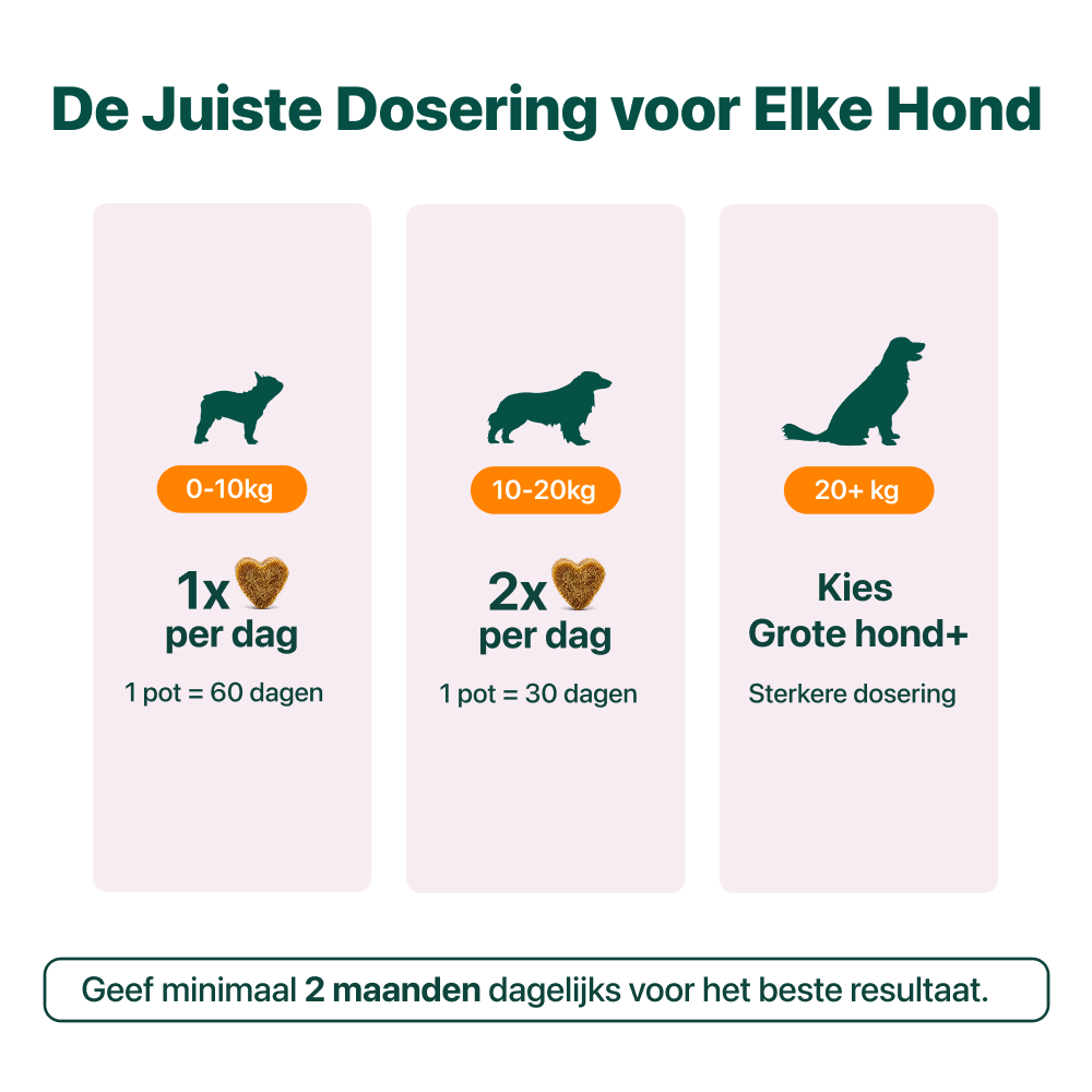 Anaalklieren Probiotica Forte | 100% natuurlijk