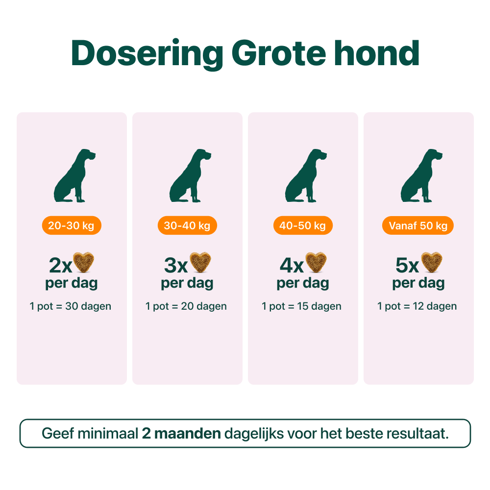 Anaalklieren GroteHond⁺ 90 snoepjes