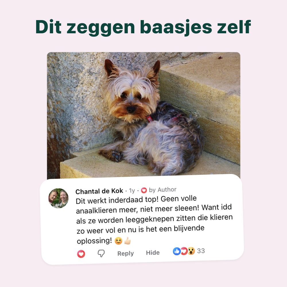 Anaalklieren Probiotica Forte | 100% natuurlijk