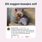 Anaalklieren Probiotica Forte | 100% natuurlijk