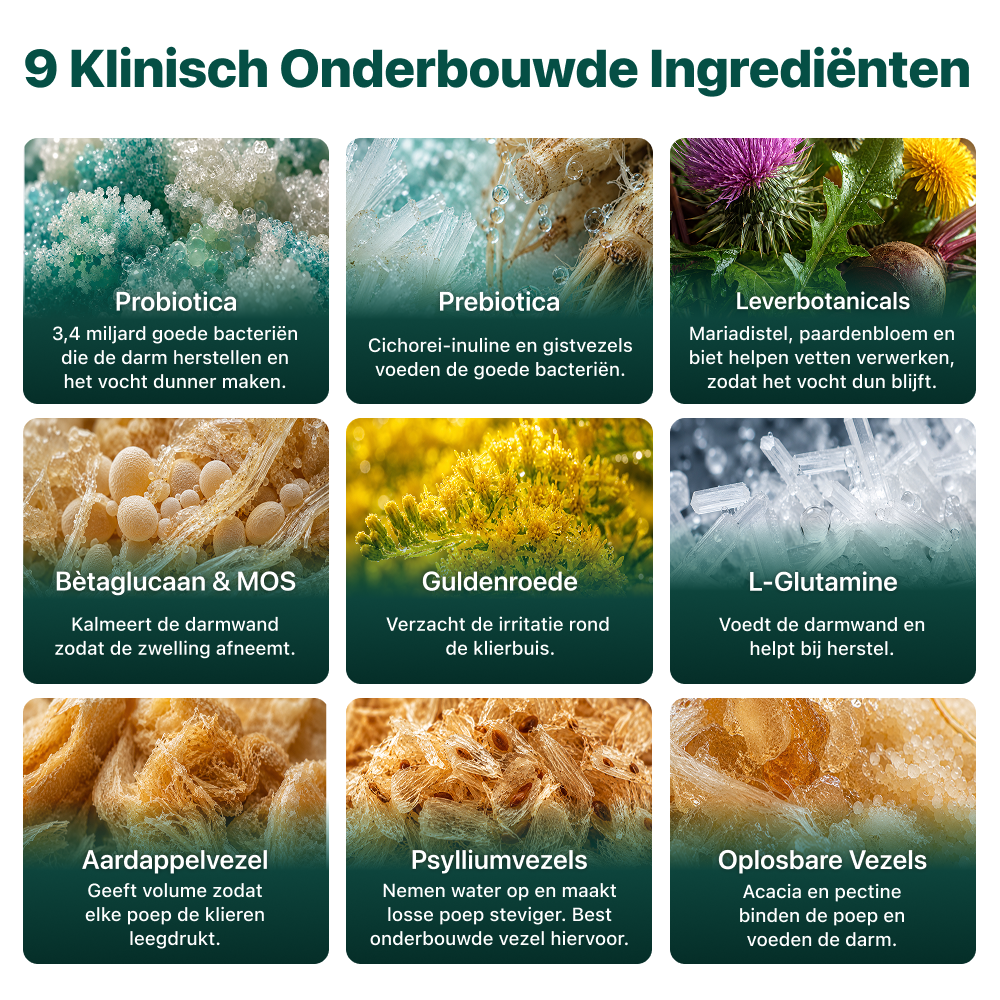 Anaalklieren Probiotica Forte | 100% natuurlijk