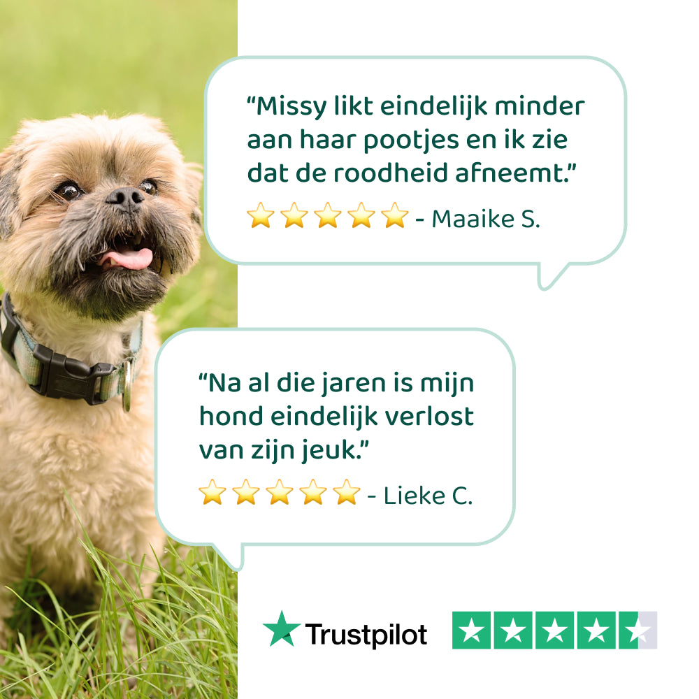 Anti-Jeuk Probiotica Forte voor Honden - Ondersteunt bij jeuk, pootlikken, seizoens- en omgevingsallergieën Anti-Jeuk Probiotica Forte voor Honden - Ondersteunt bij jeuk, pootlikken, seizoens- en omgevingsallergieën