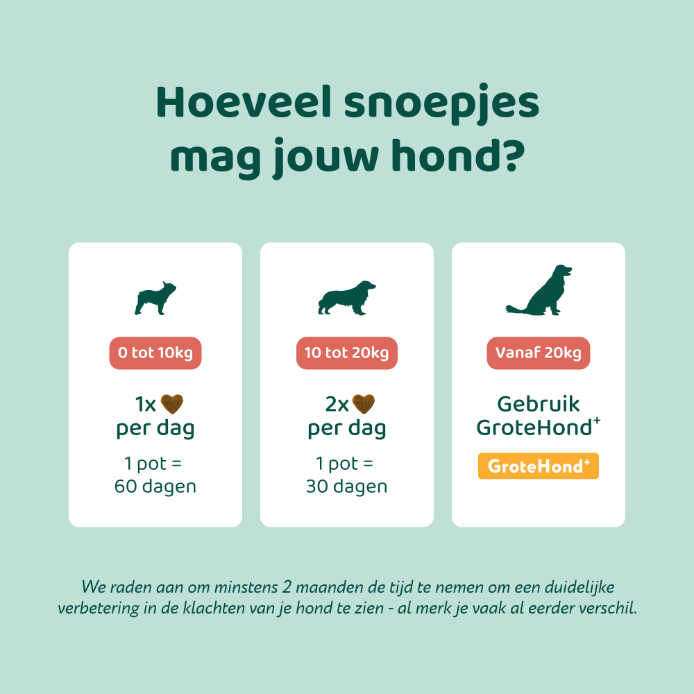 Anti-Jeuk Probiotica 🌿 60 snoepjes