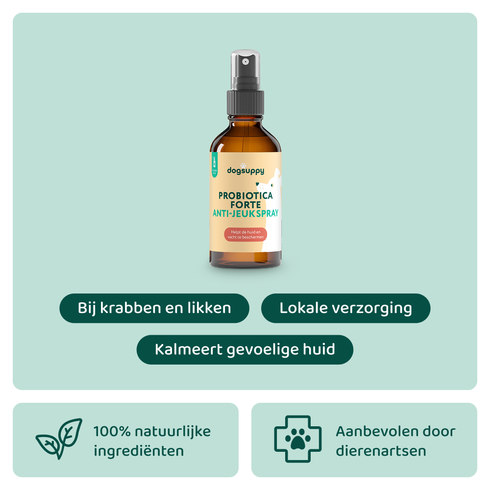 Anti-Jeuk Spray 🌿 250ml