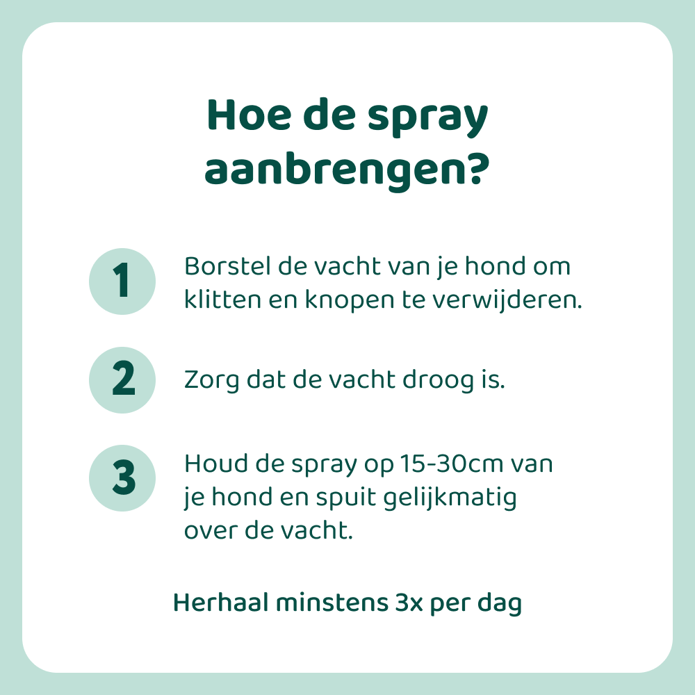 Anti-Jeuk Spray 🌿 250ml