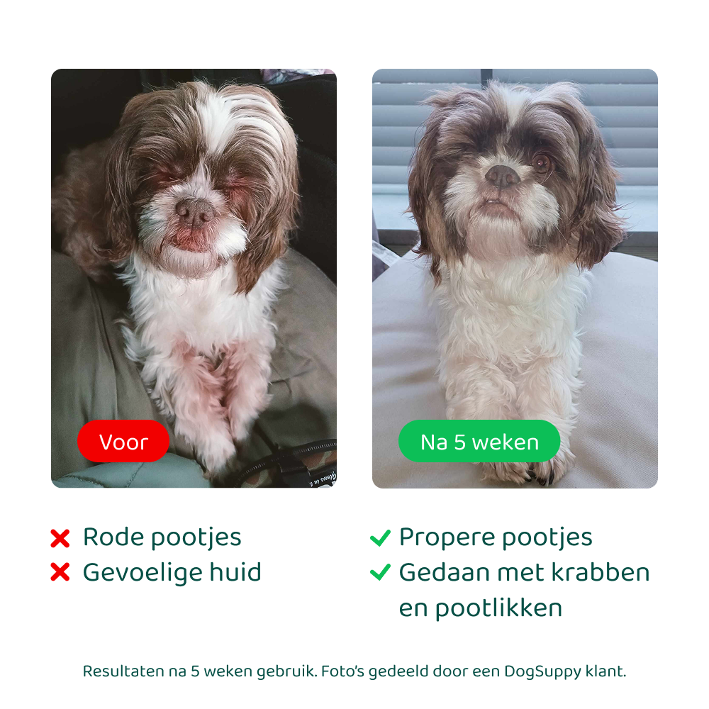 Anti-Jeuk GroteHond⁺ 🌿 90 snoepjes