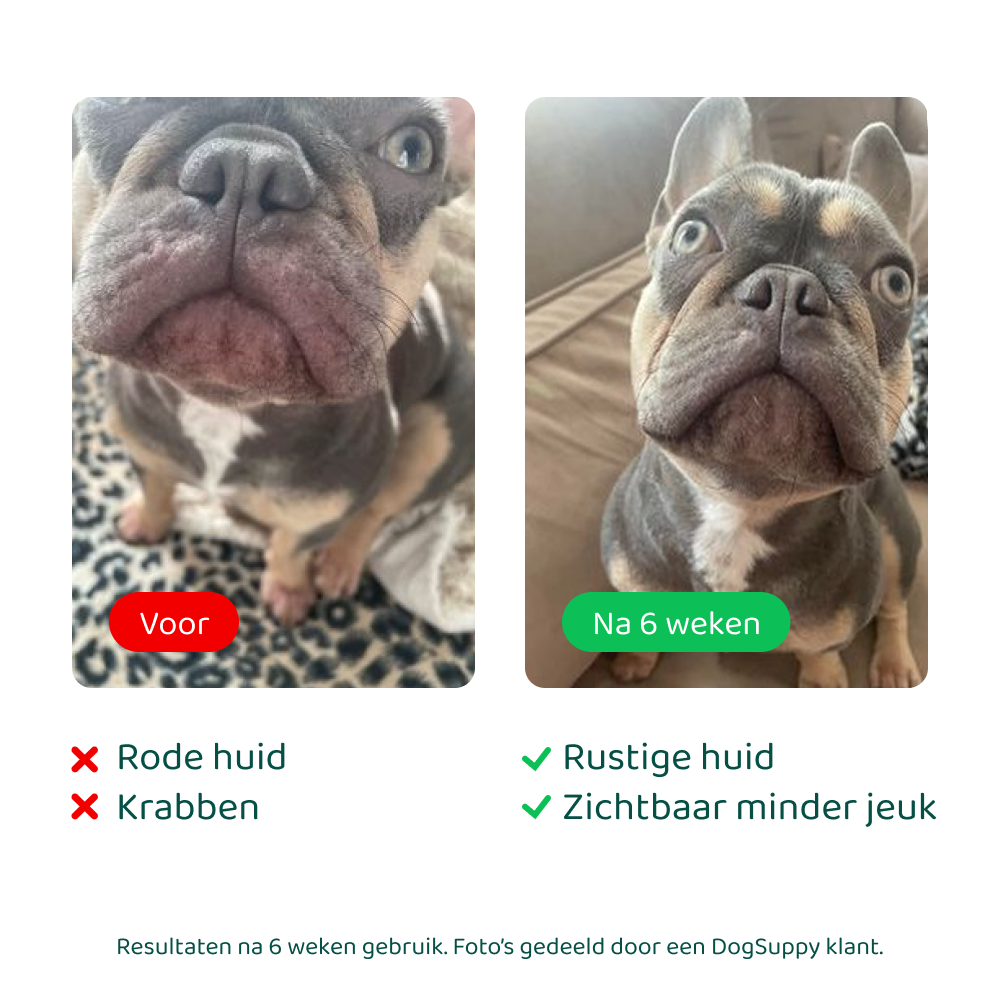 DogSuppy, Anti-Jeuk Probiotica, 100% Natuurlijk, Ondersteunt Darmgezondheid & Weerstand, voor Honden met Gevoelige huid, Krabben, Poten likken, Allergieën, 60 heerlijke snacks (Zonder vlees DogSuppy, Anti-Jeuk Probiotica, 100% Natuurlijk, Ondersteunt Darmgezondheid & Weerstand, voor Honden met Gevoelige huid, Krabben, Poten likken, Allergieën, 60 heerlijke snacks (Zonder vlees