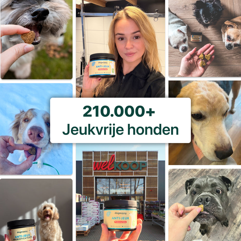 Anti-Jeuk GroteHond⁺ | 90 snoepjes