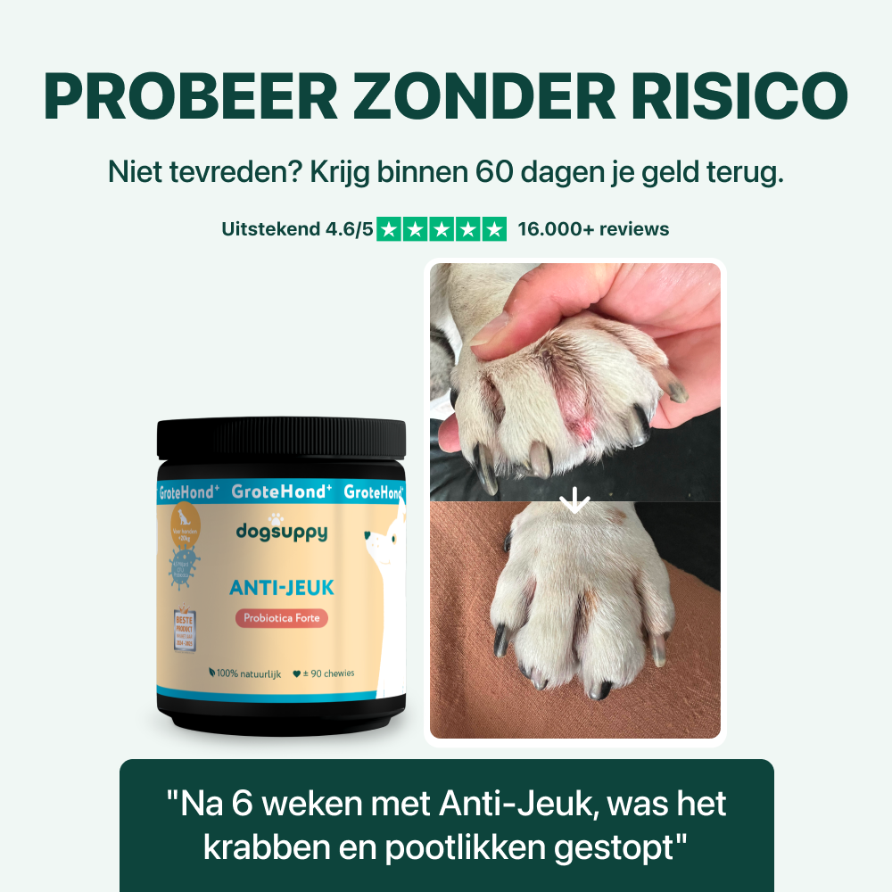 Anti-Jeuk GroteHond⁺ | 90 snoepjes