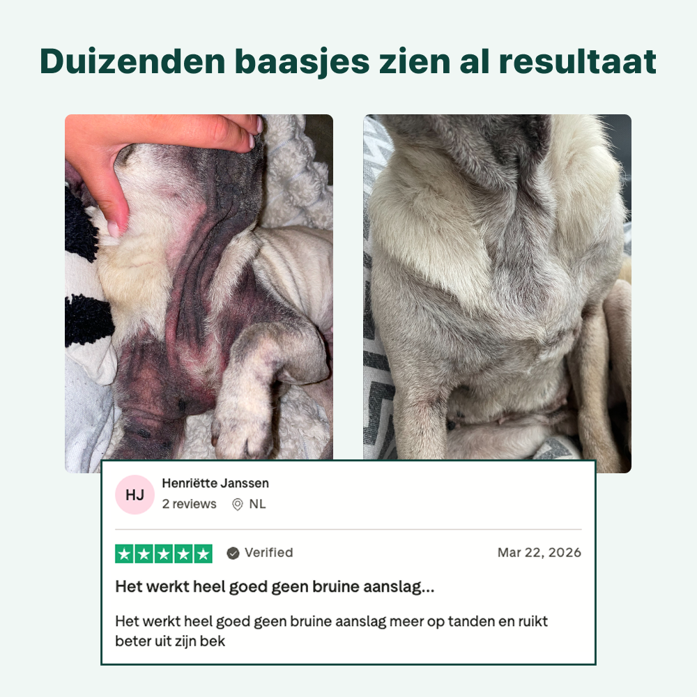 Anti-Jeuk Probiotica Forte | 100% natuurlijk