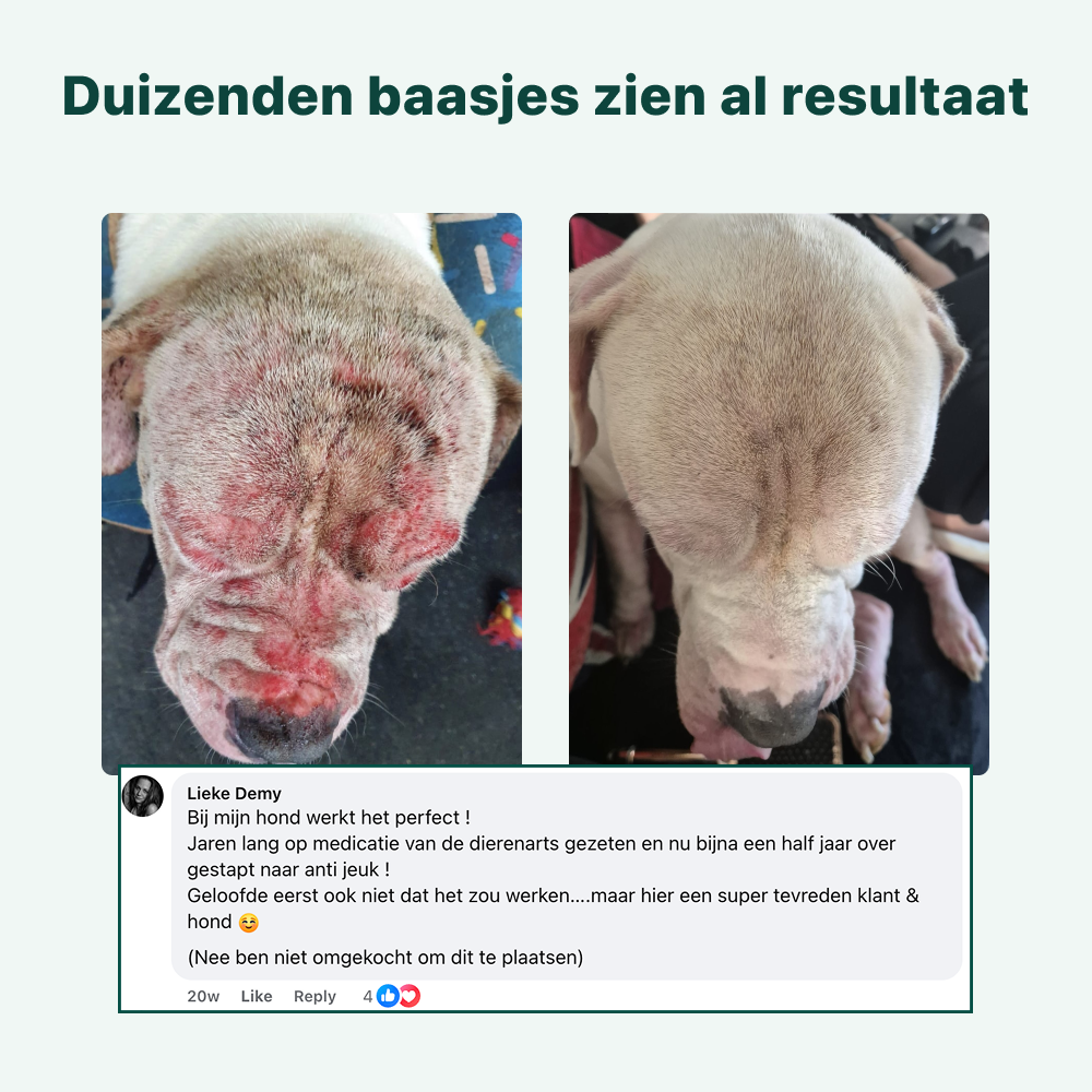 Anti-Jeuk Probiotica Forte | 100% natuurlijk