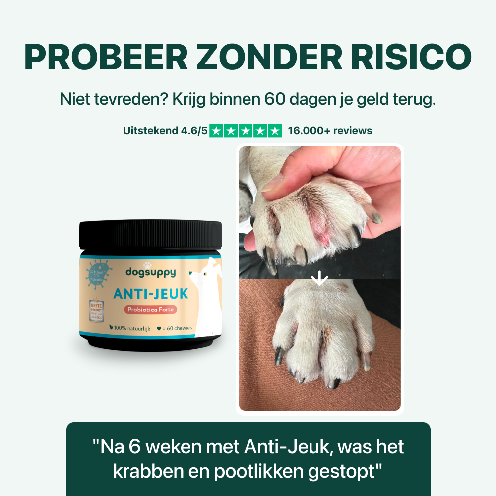 Anti-Jeuk Probiotica Forte | 100% natuurlijk