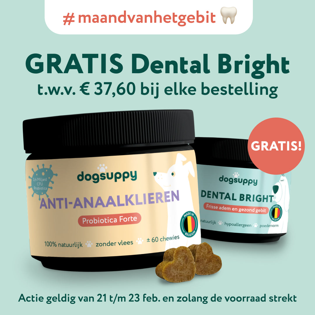 Anaalklieren Probiotica Forte | 100% natuurlijk | 60 snoepjes