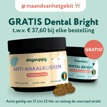 Anaalklieren Probiotica Forte | 100% natuurlijk | 60 snoepjes