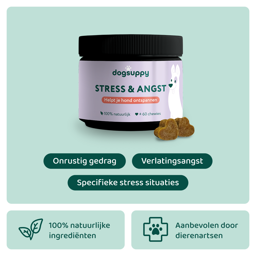 Stress & Angst 🌿 60 snoepjes
