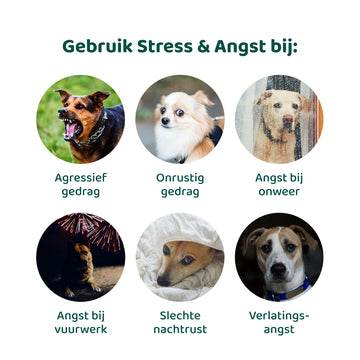 Stress & Angst GroteHond⁺ 🌿 90 snoepjes