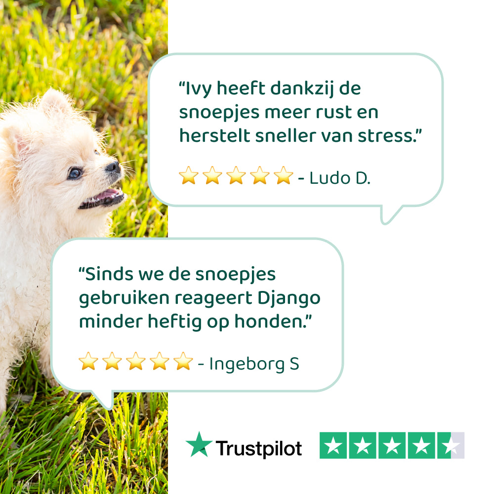 Stress & Angst 🌿 60 snoepjes