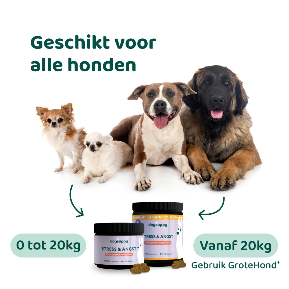 Stress & Angst 🌿 60 snoepjes
