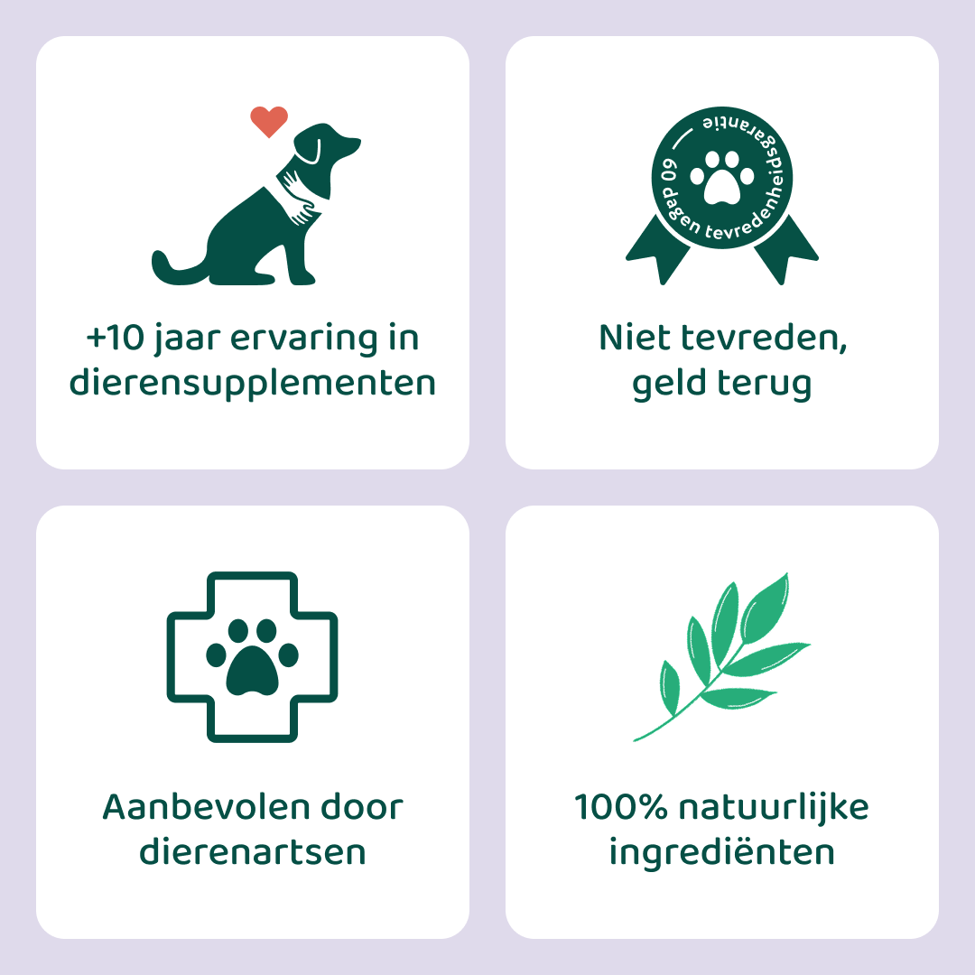 Anaalklieren Probiotica Forte | 100% natuurlijk