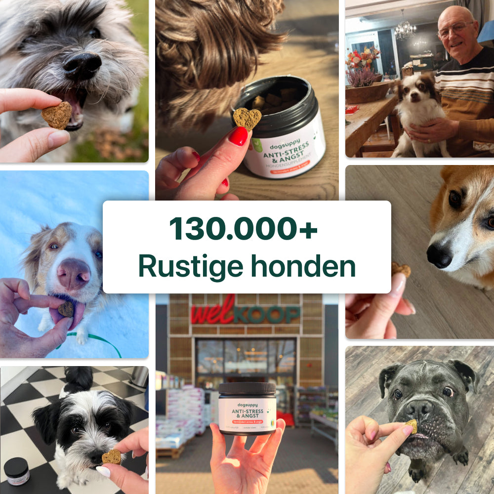 Anti-Stress & Angst | 100% natuurlijk