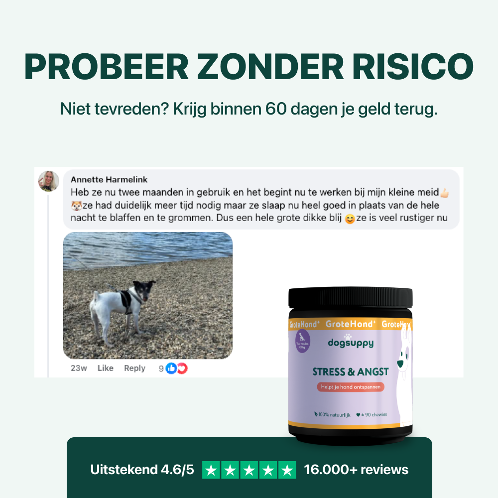 Stress & Angst GroteHond⁺ | 90 snoepjes