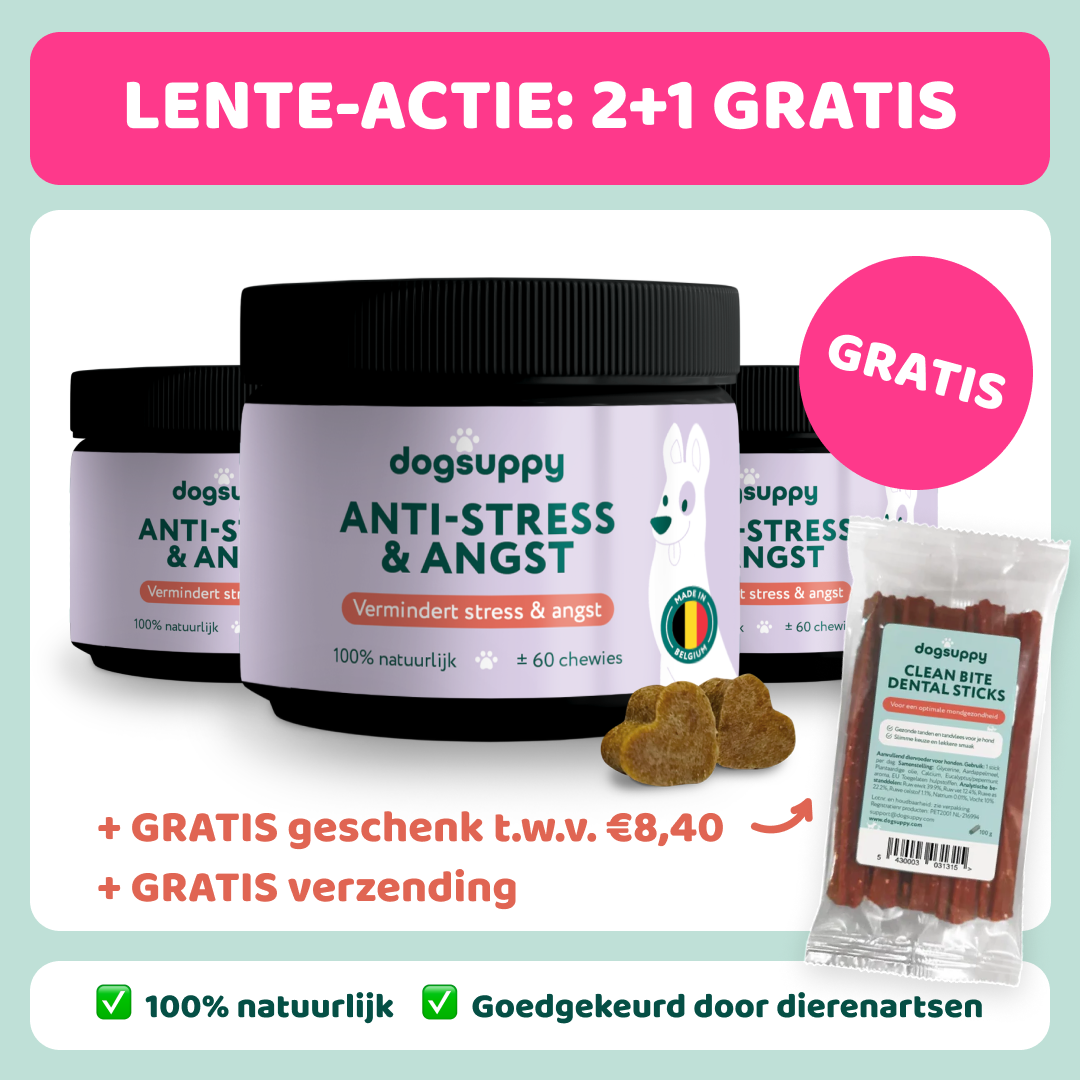 Anti-Stress & Angst | Met kip | 100% natuurlijk