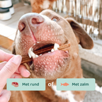 Advanced Chew Dental Sticks 🌿 7 Sticks per zakje
