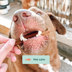 Advanced Chew Dental Sticks 🌿 7 Sticks per zakje