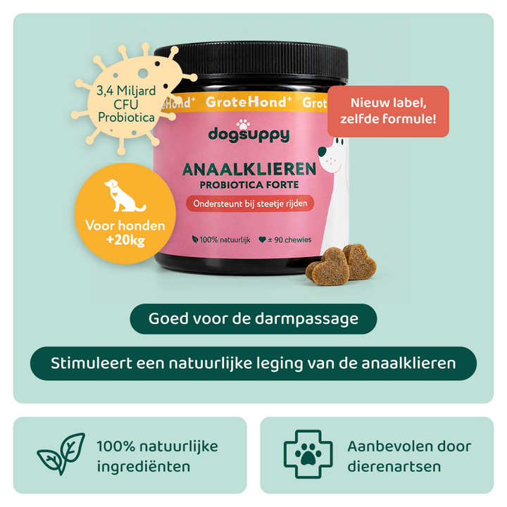 Complete dagelijkse routine voor een gezonde darmwerking en stevige ontlasting