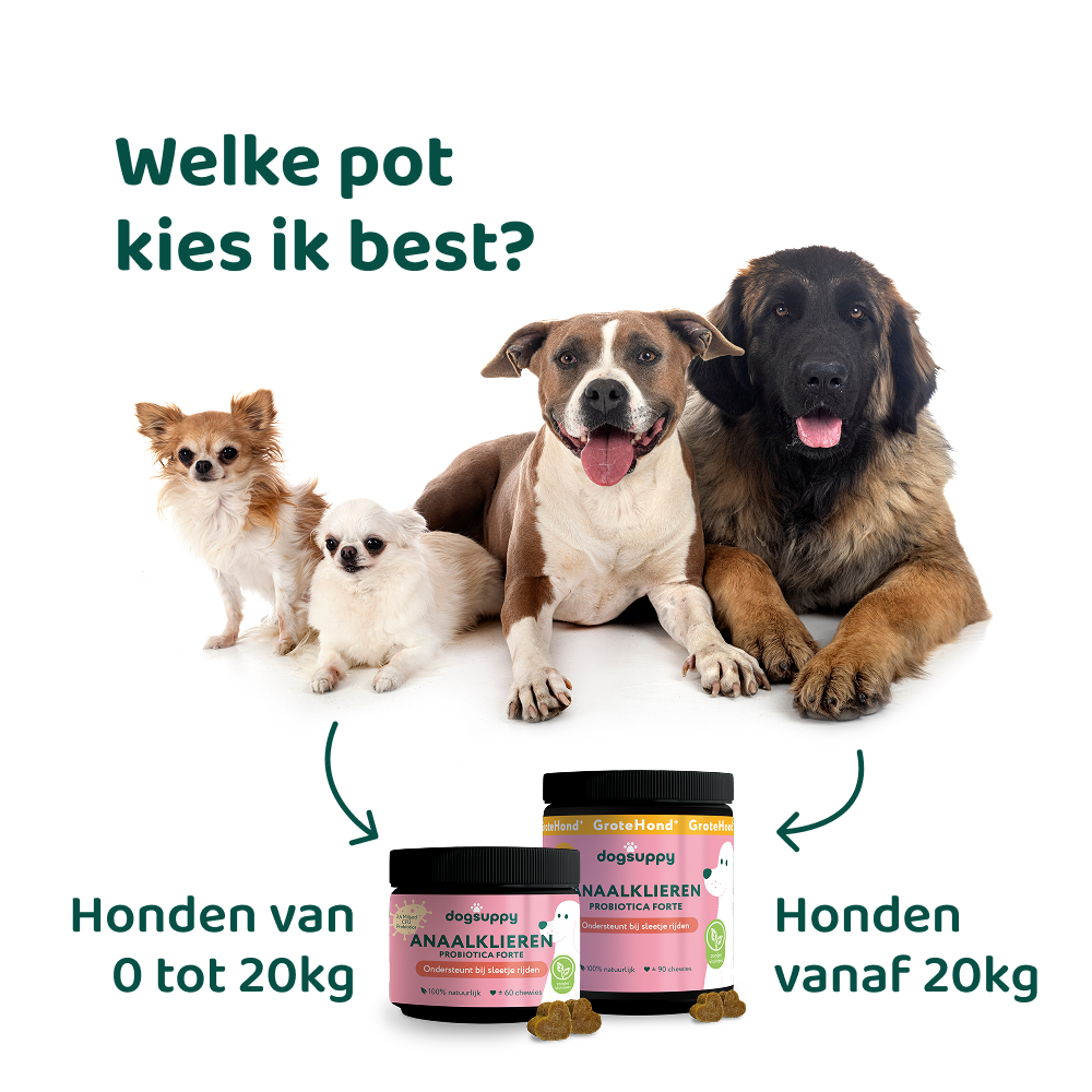 Anaalklieren Probiotica Forte 🌿 60 snoepjes